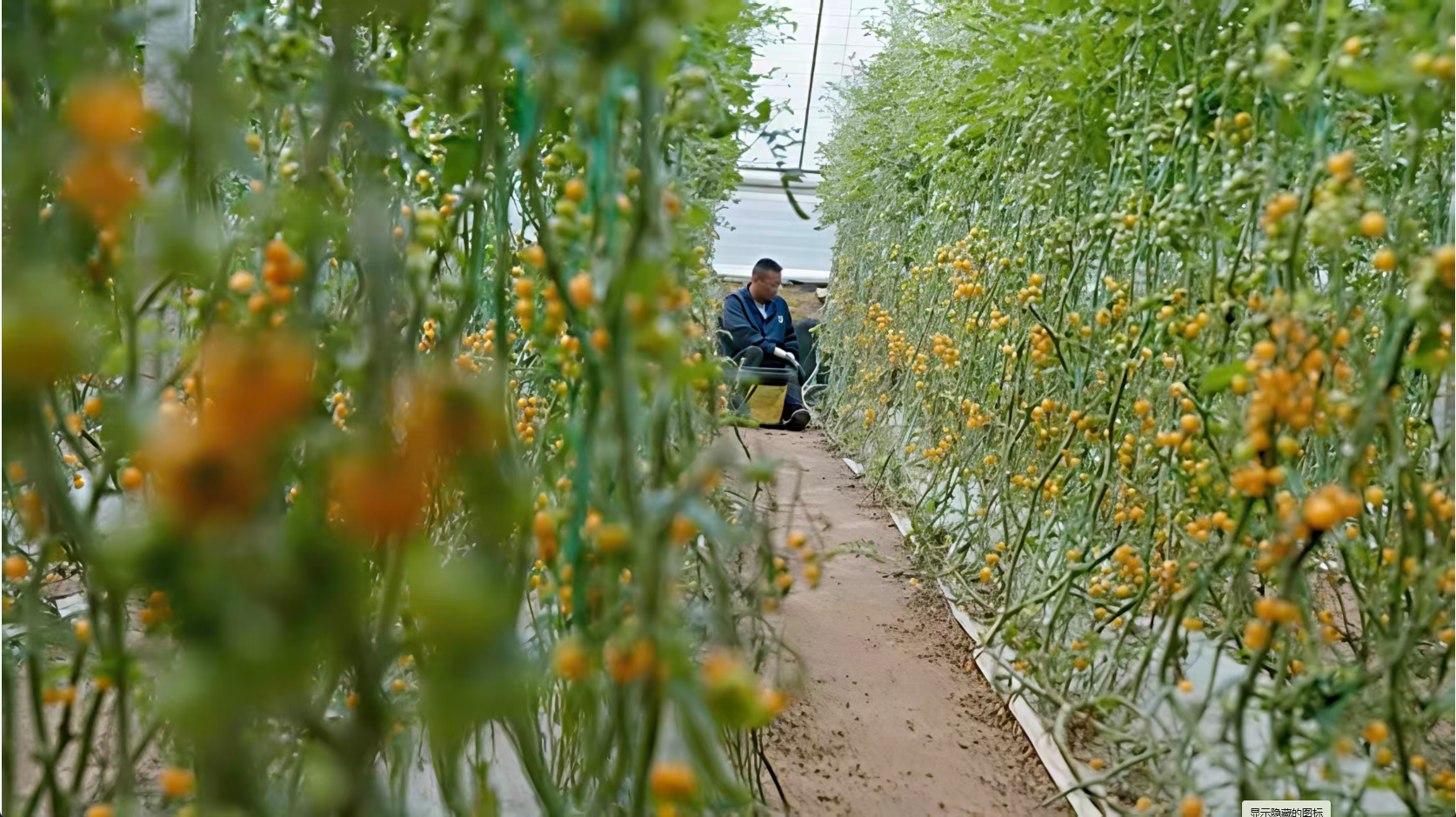 ScreenShot_2025-12-10_152341_044