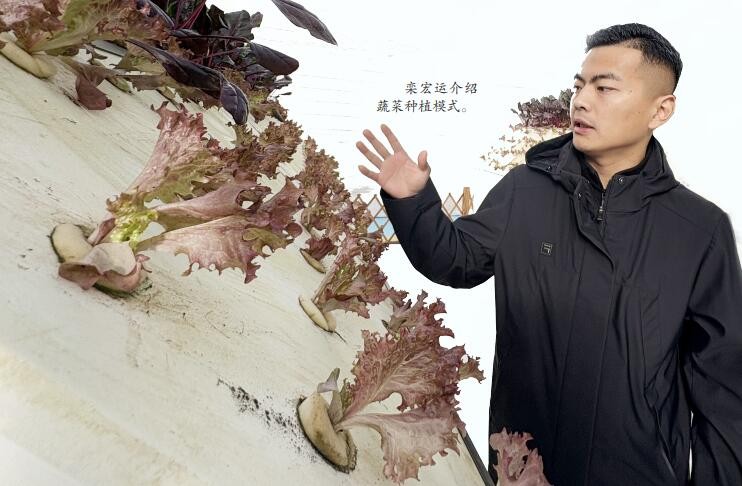 QQ截图20251212083707