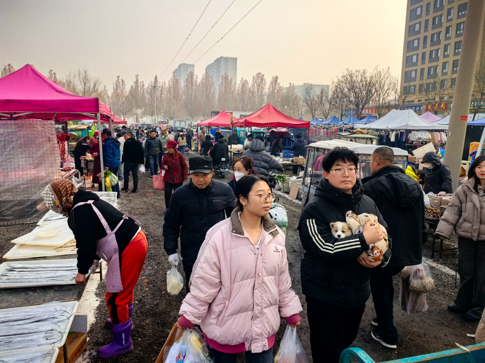 微信图片_20251231103142_102_43