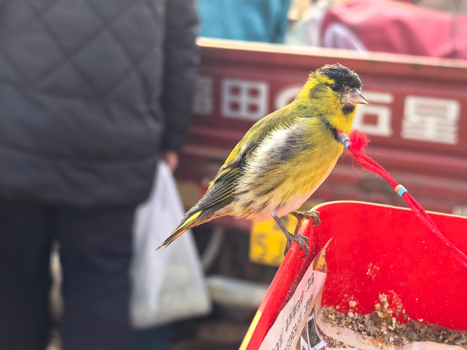 微信图片_20251231103144_104_43