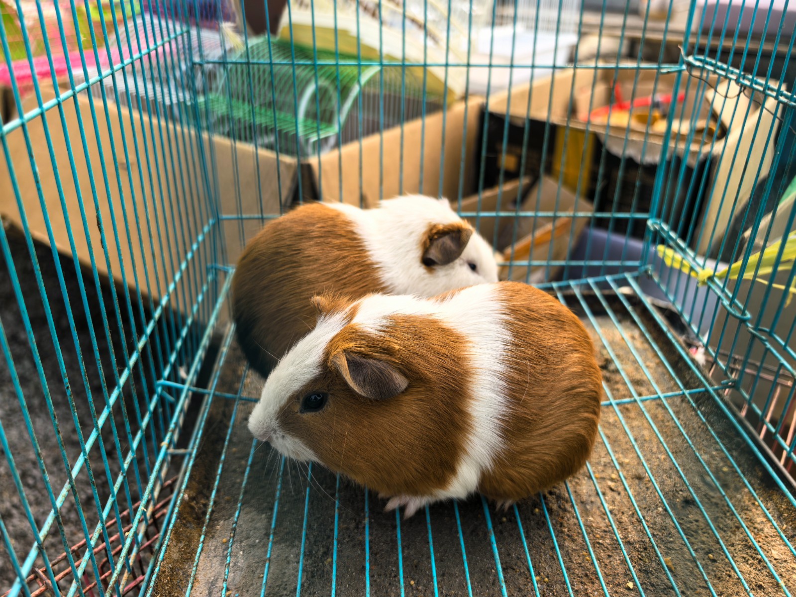 微信图片_20251231103143_103_43