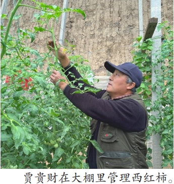 微信截图_20260121085027