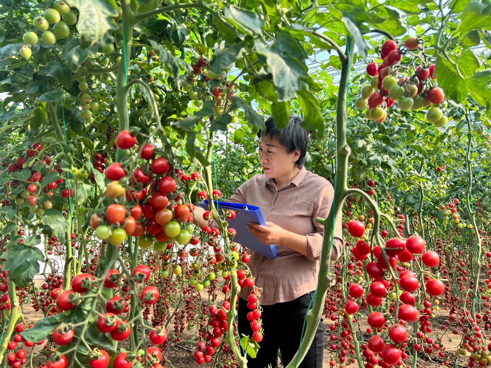 微信图片_20260312101412_2898_5