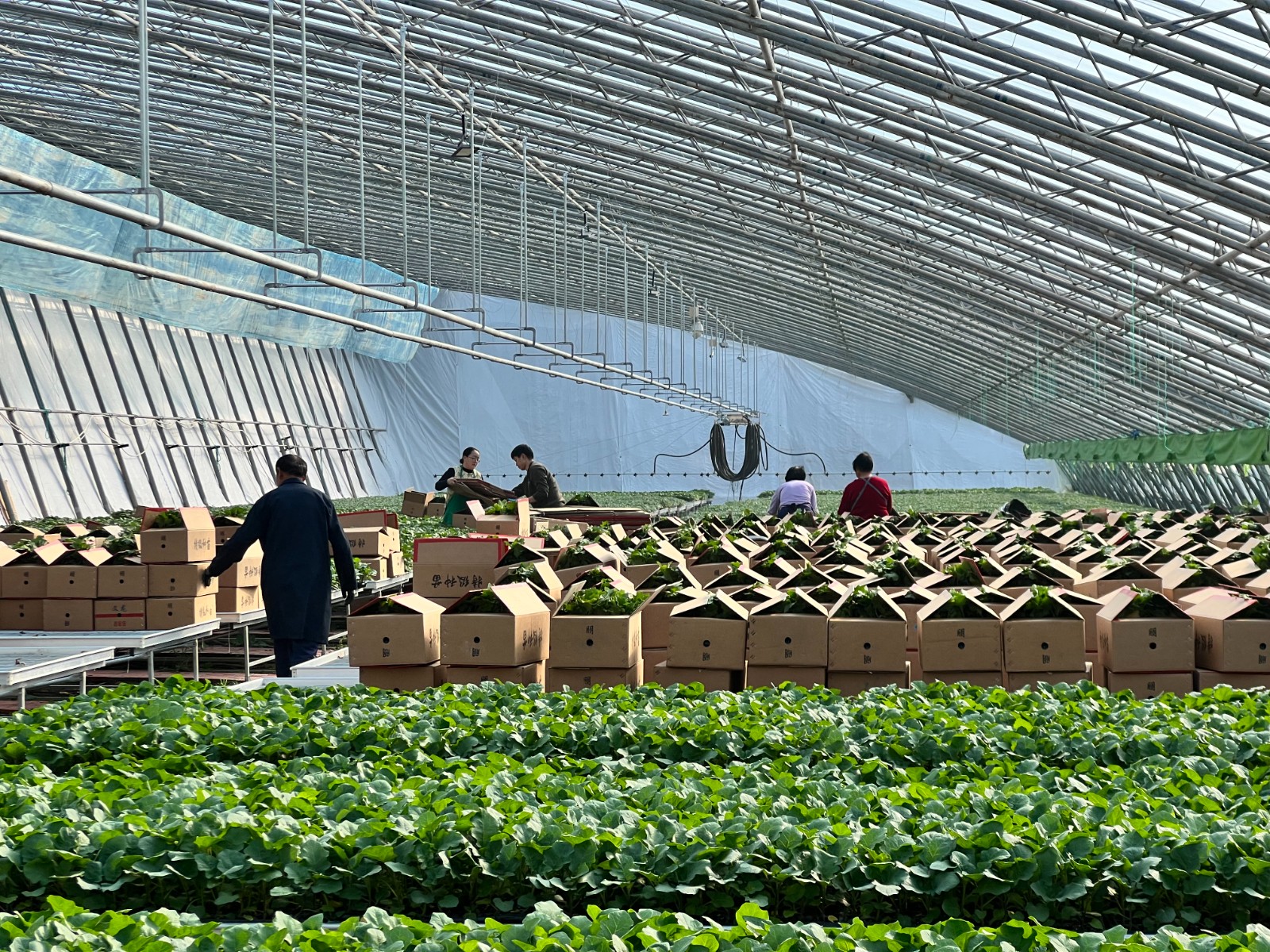 微信图片_20260312101404_2897_5