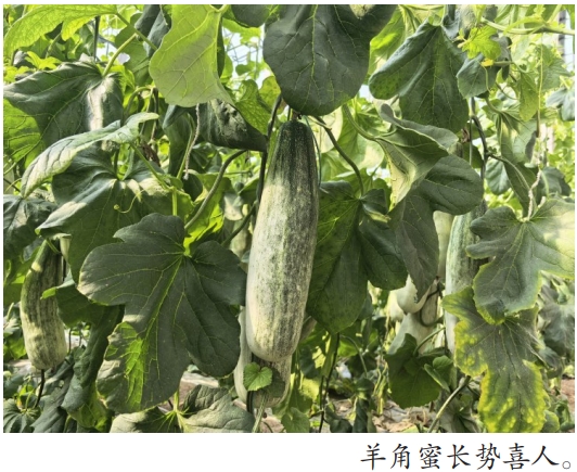 微信截图_20260318095300