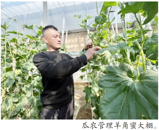 微信截图_20260318095242