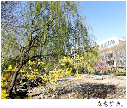 微信截图_20260319090934