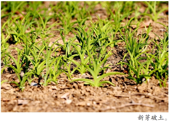 微信截图_20260319090942