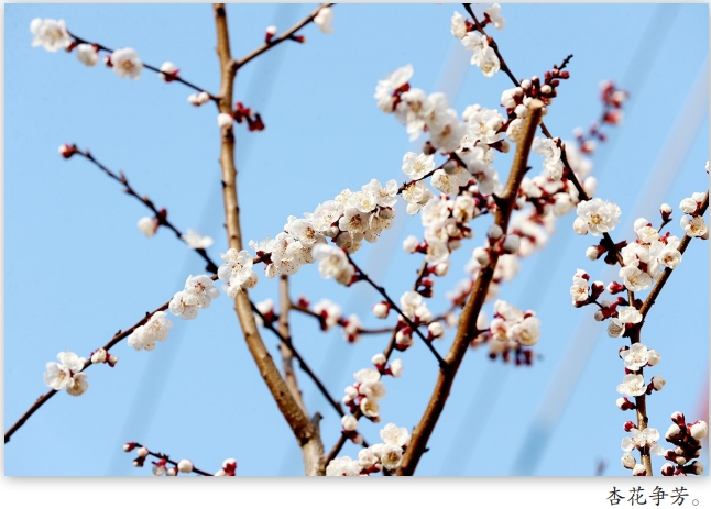 微信截图_20260319090851