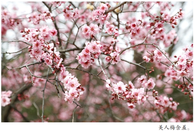 微信截图_20260319090858