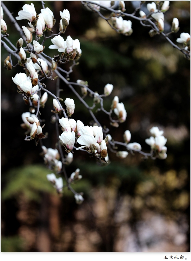 微信截图_20260319090910