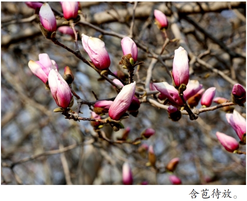 微信截图_20260319090923