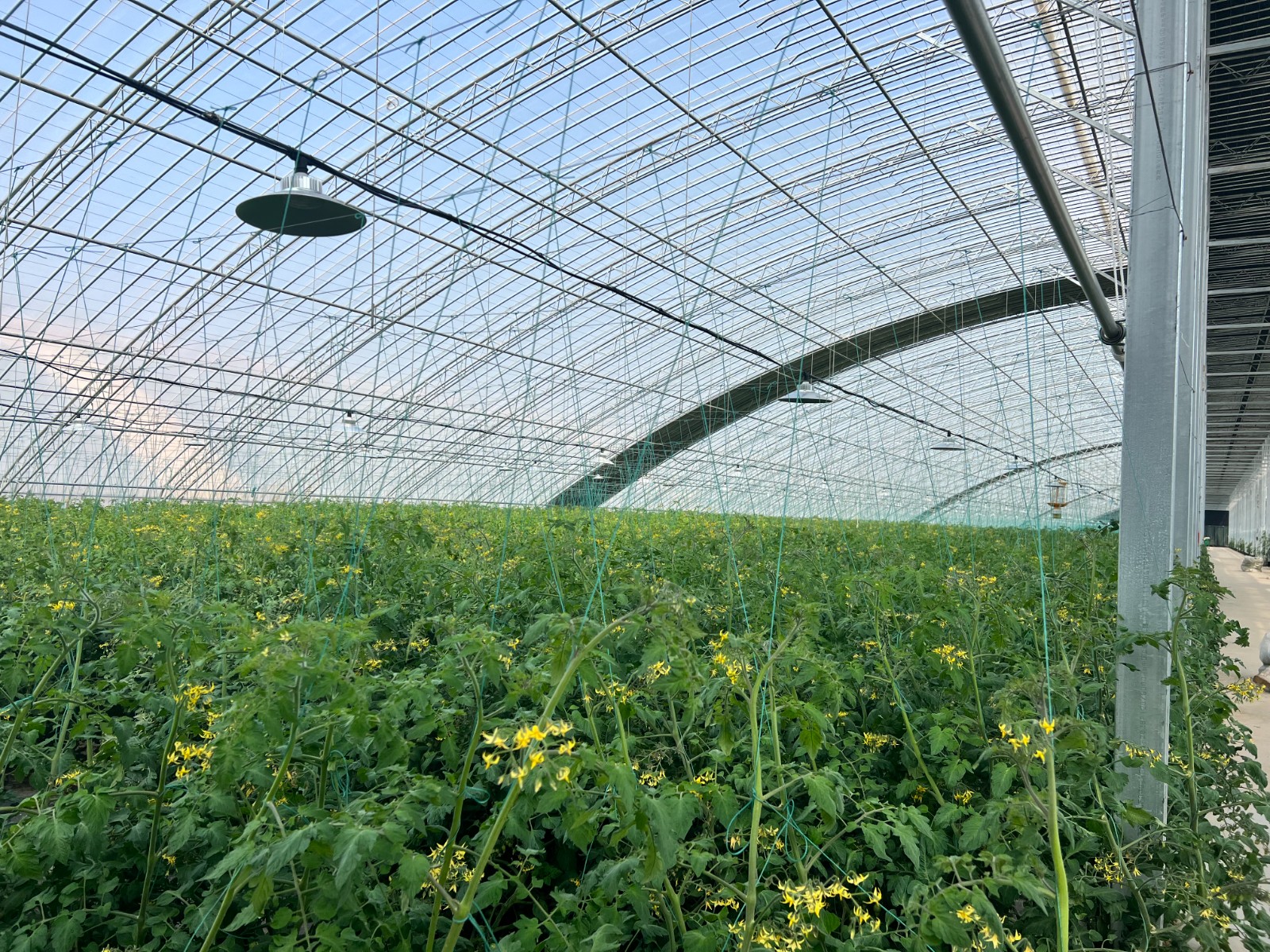 微信图片_20260313151944_2977_5