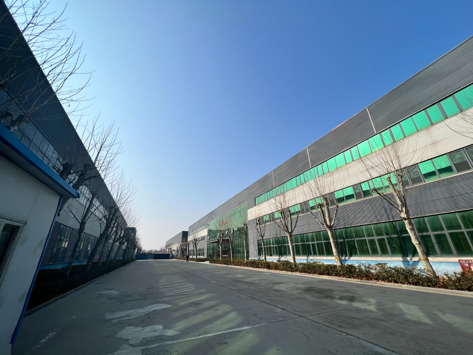 微信图片_20260313151931_2975_5