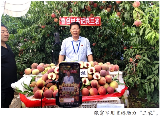 微信截图_20260408094851
