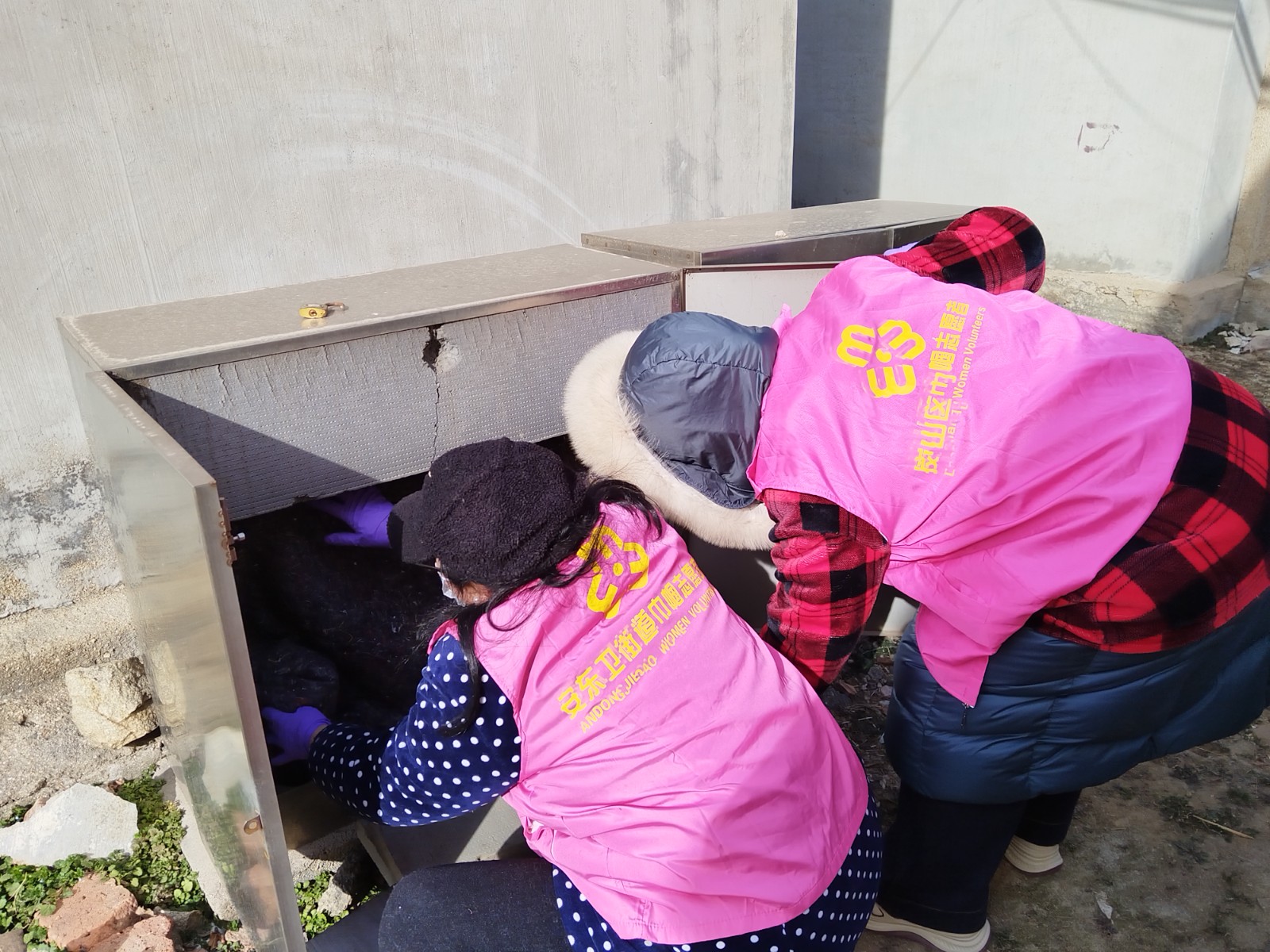 微信图片_20260121151448_131_88