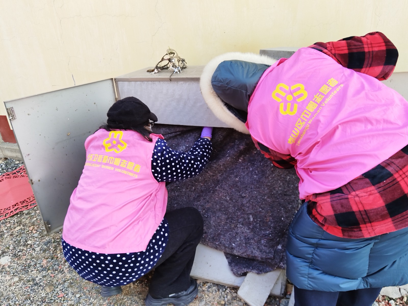 微信图片_20260121151451_133_88