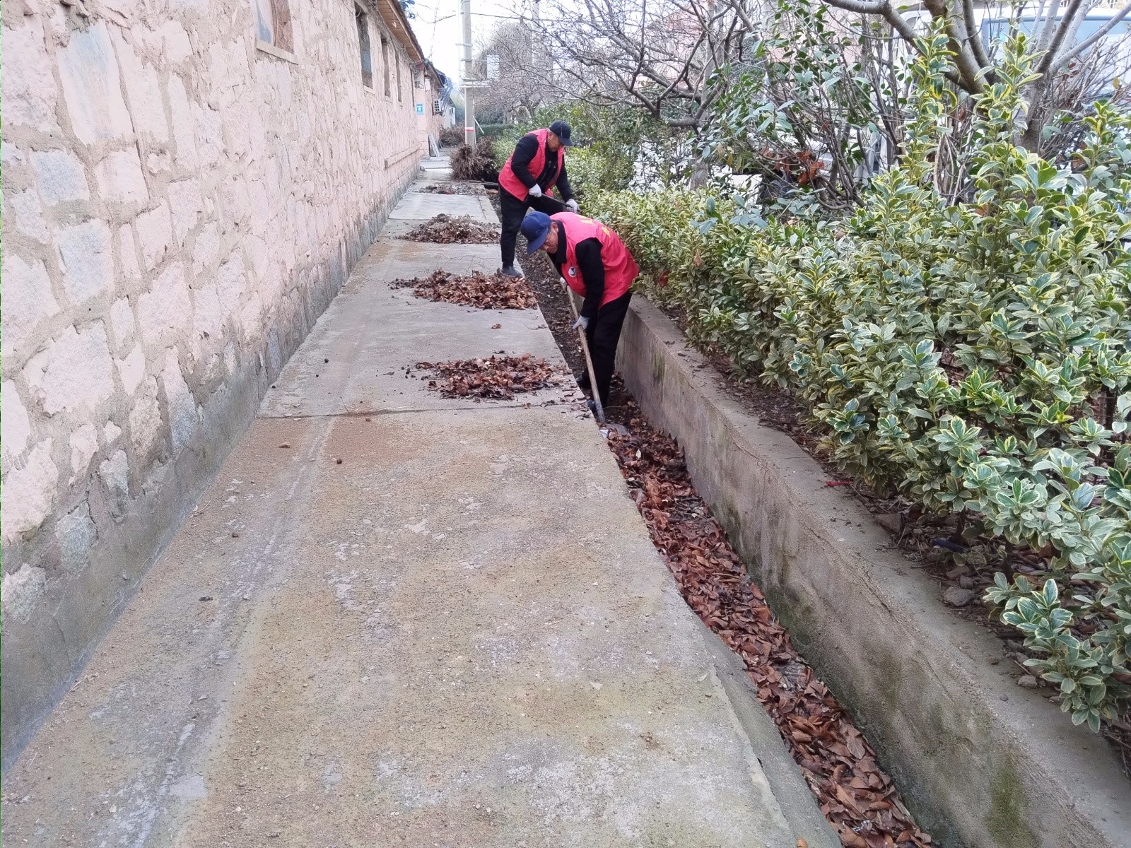 微信图片_20260129150345_138_88