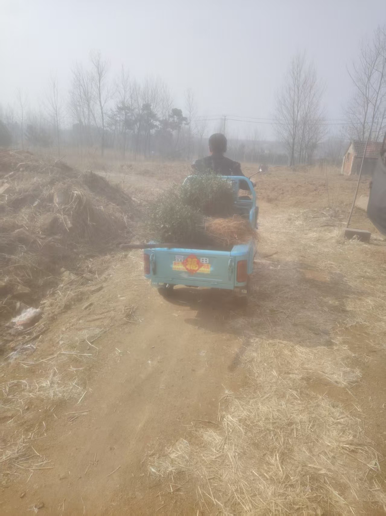 19f081d2156c777dd654299263460642