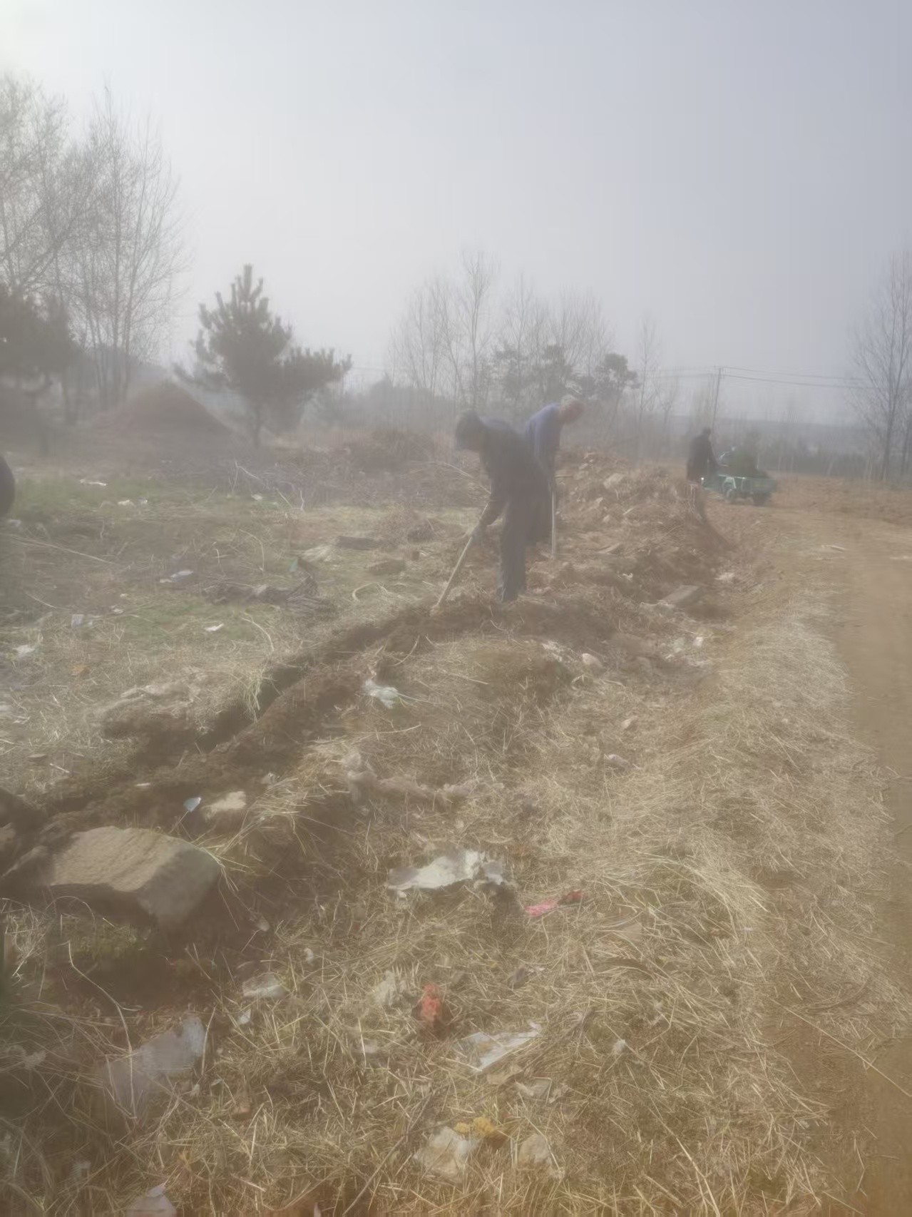 6c331ab3c21f1048e0d1deda104cd411