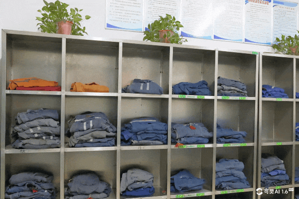 VID_20250427140244511-4.gif