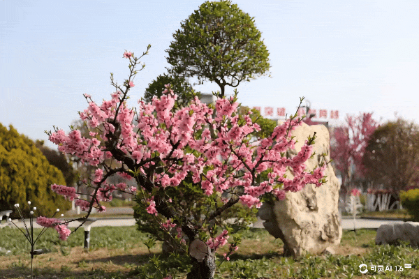 GIF_20250427171359892.gif