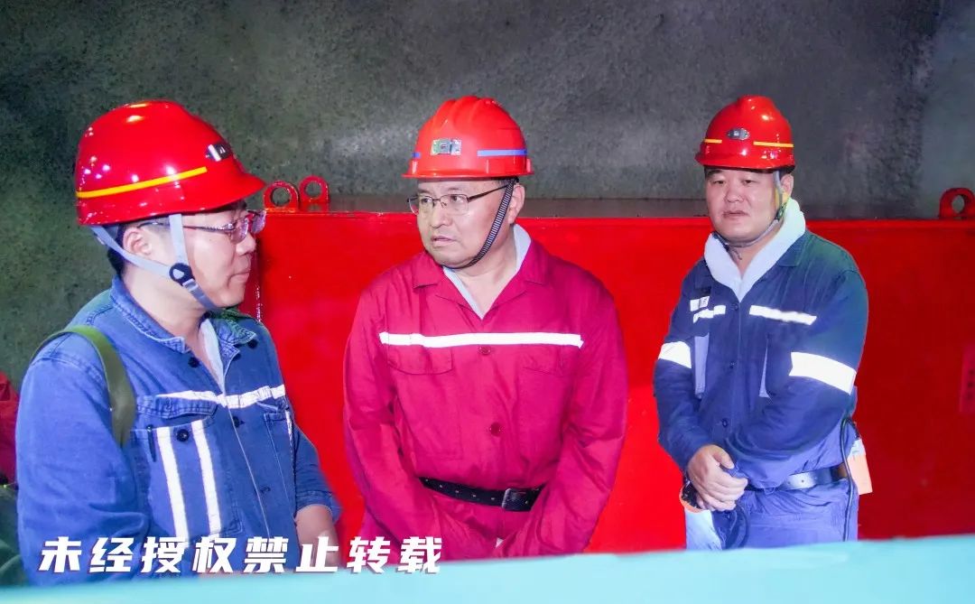 赵高煤.jpg