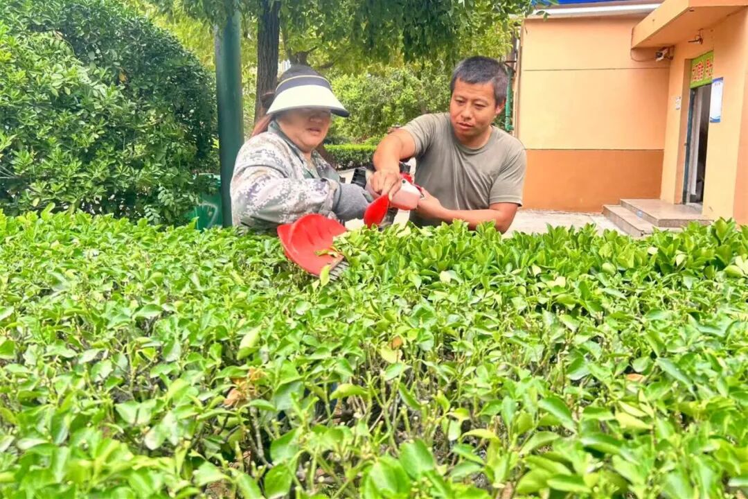 8f副本.jpg