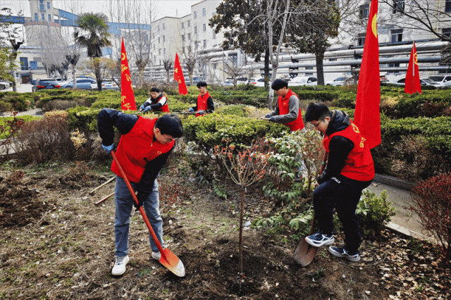 田陈煤矿 植树节——乔童舒.gif