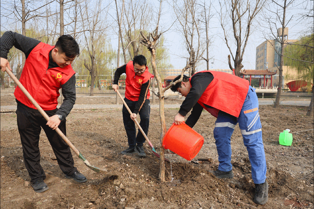 滨湖煤矿开展植树节活动动图.gif