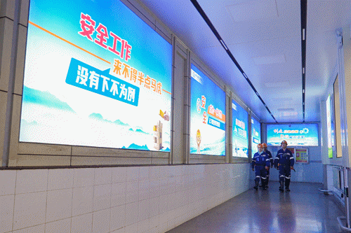 动图.gif