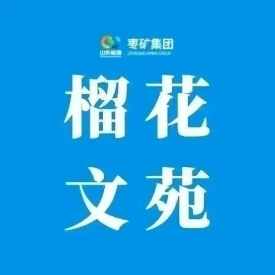 百富论坛手机版