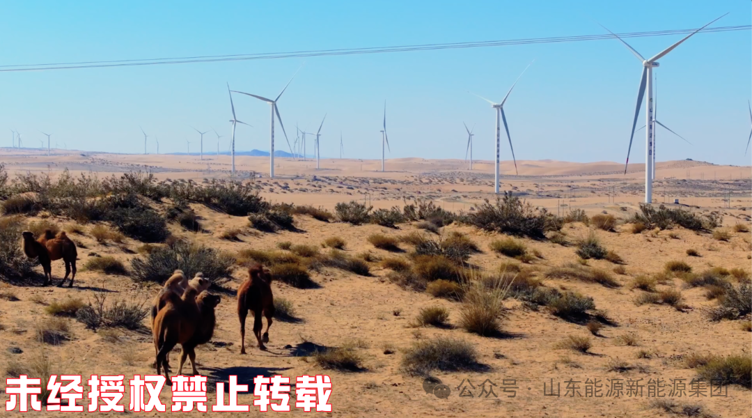 微信图片_2025-07-07_182233_574
