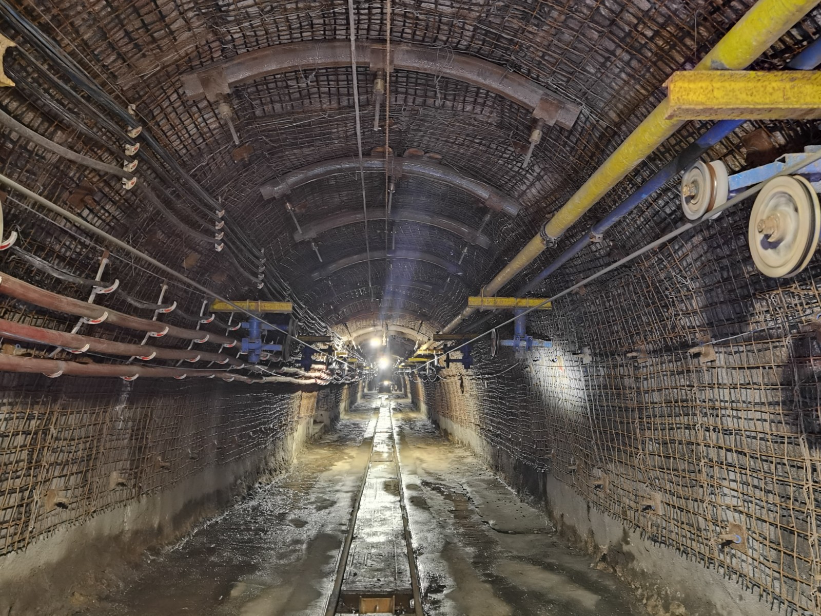 0e8e613b5cc55c7699302a54ceeba105