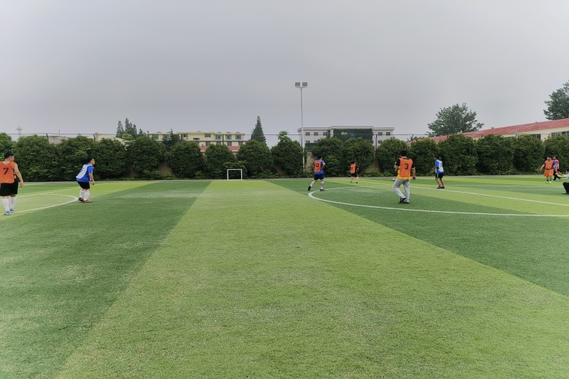 微信图片_20230605171053_副本