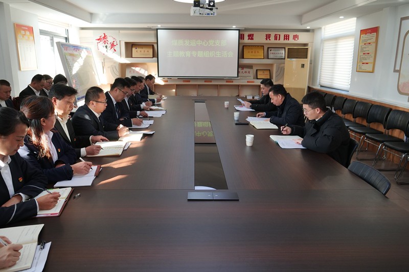 2023年度组织生活会_副本