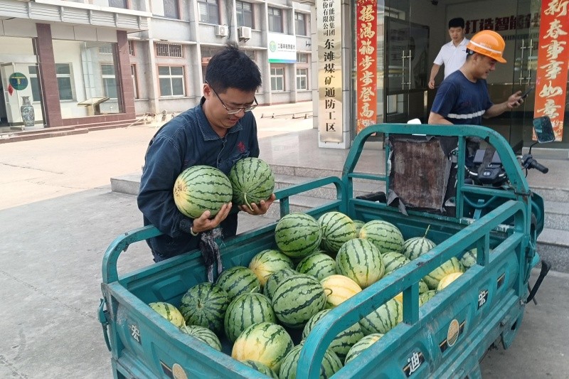 丝丝凉意沁心田