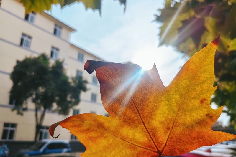 职工宿舍班组书画摄影展4