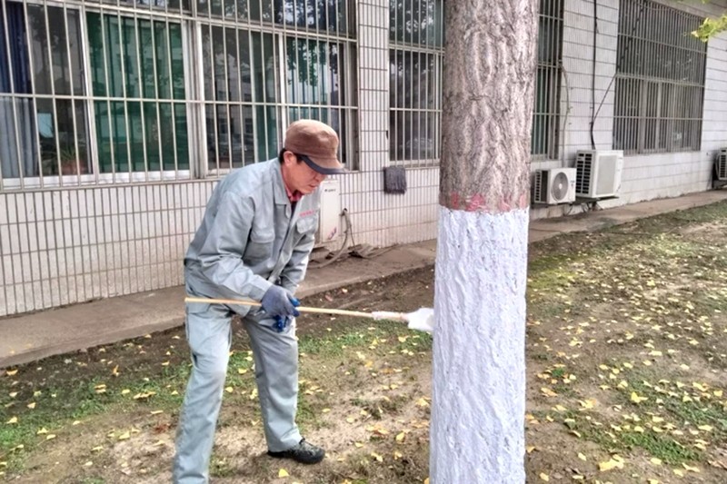 0a23718a3ebc46deb64565eae9b0464a_副本