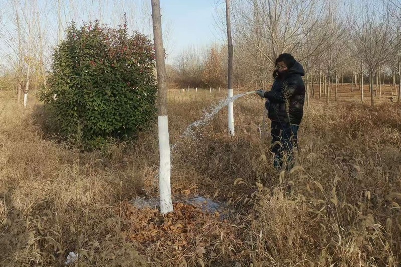 7e58d5ed6ea8c726e540e372f23f2c82