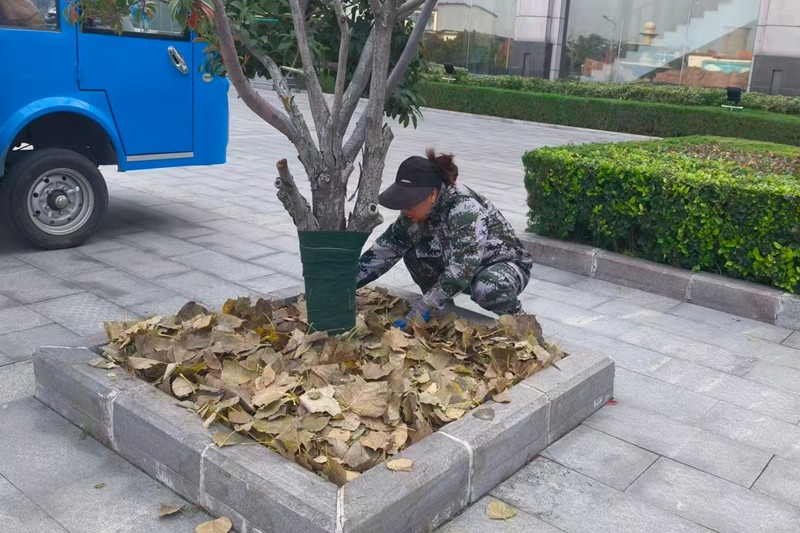 62781d496d82fea9b9673247082bbac1