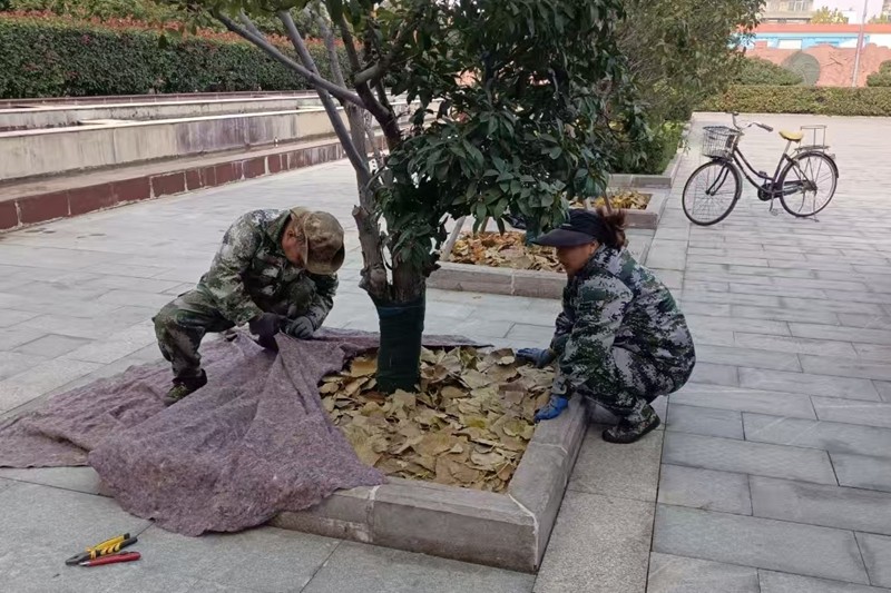 70f61d63f367ec83bda6a9724bd2addf