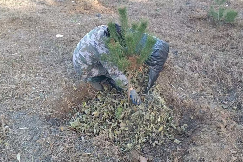 34197363ce6bb79e79eb313c38201dc6