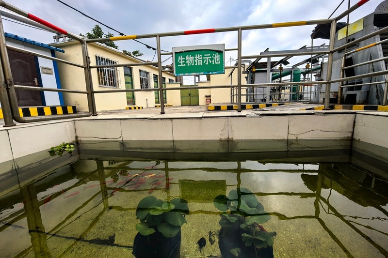 生物指标池鱼图
