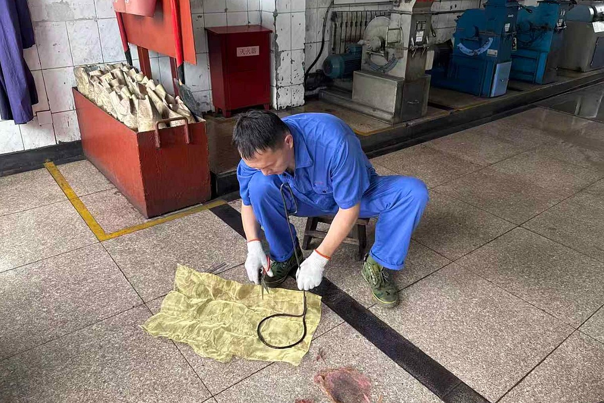 煤