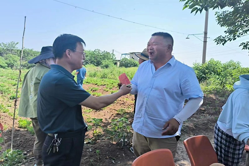 微信图片_20230615114749_副本