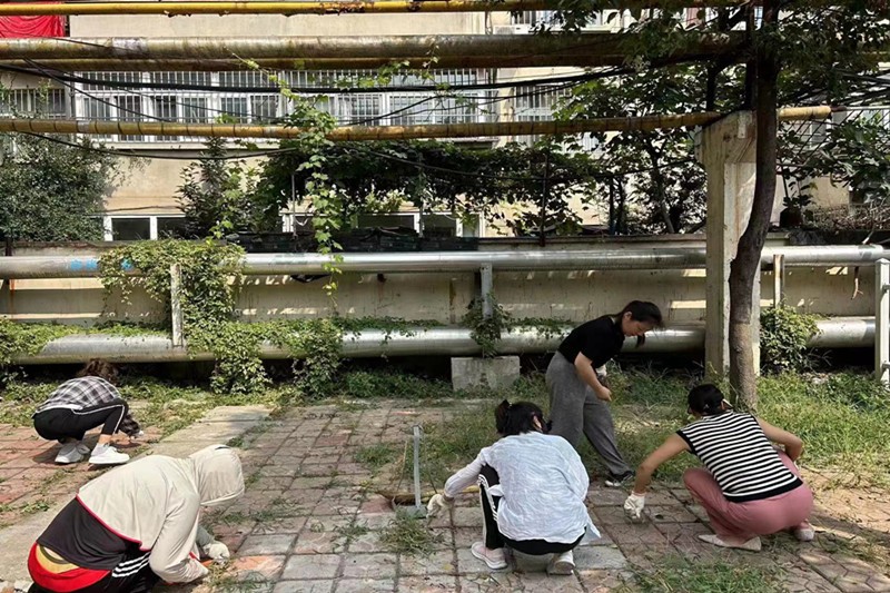 微信图片_20231016185643_副本