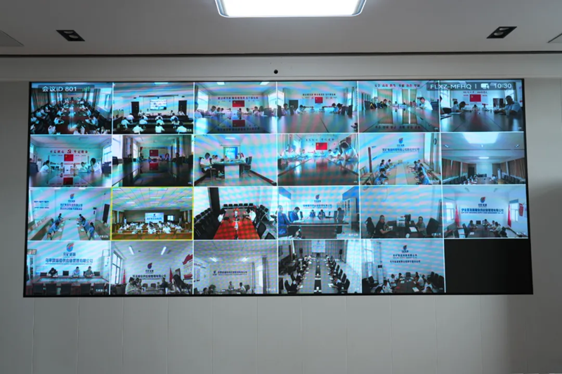 图片11