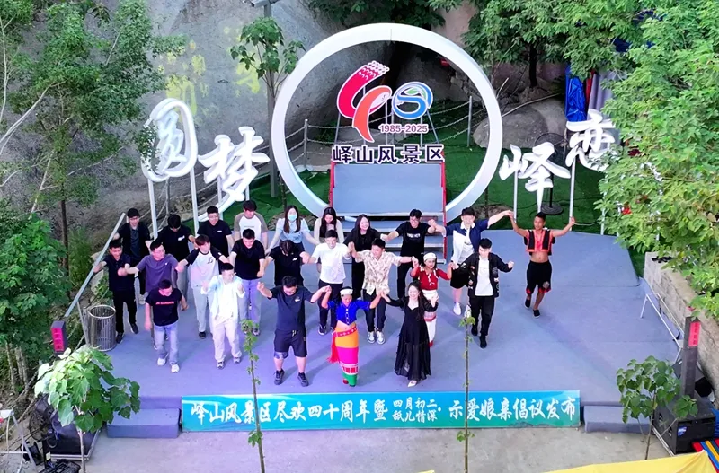 图片3