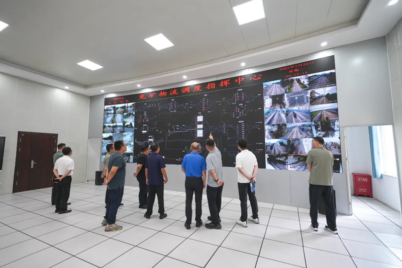 图片8